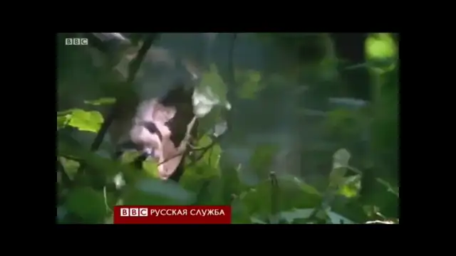 Жить с природой в гармонии. Николай Левашов